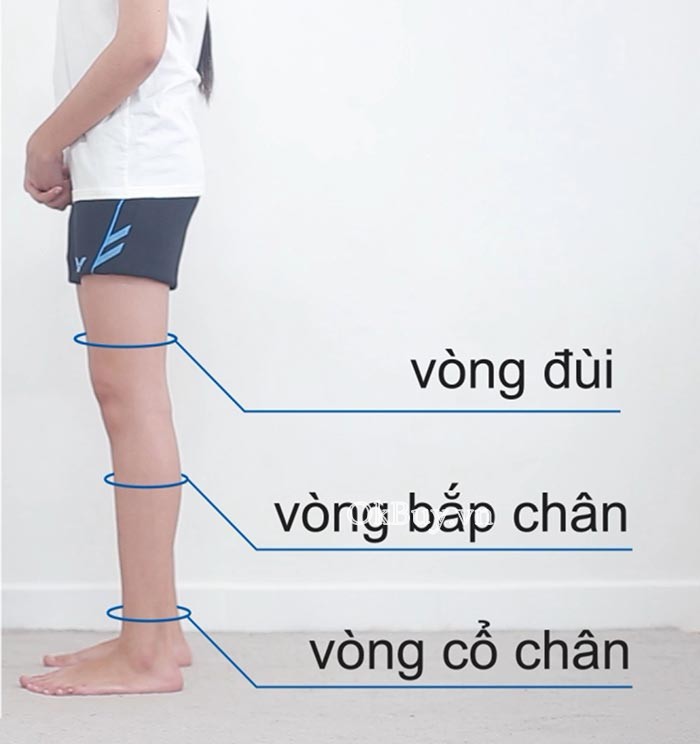 Vớ gối y khoa