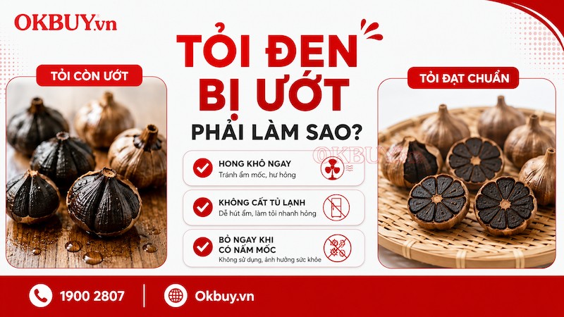 Tỏi đen bị ướt phải làm sao? Cách xử lý đúng để tránh hư hỏng