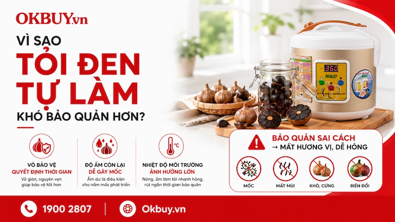 Vì sao tỏi đen tự làm khó bảo quản hơn? Cách bảo quản đúng để giữ chất lượng