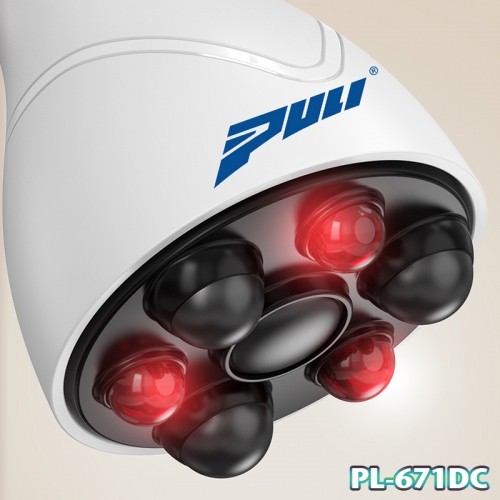 Máy massage cầm tay cao cấp Puli PL-671DC