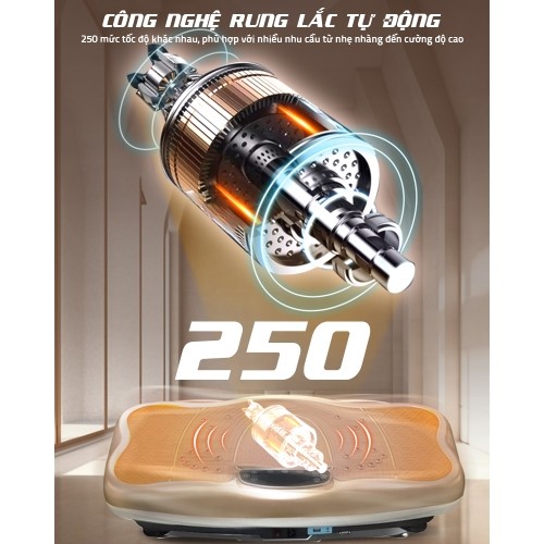 Máy rung toàn thân công nghệ rung lắc Queen Crown FR48