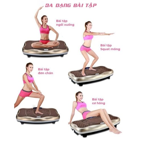 Máy rung toàn thân đa dạng bài tập Queen Crown FR48