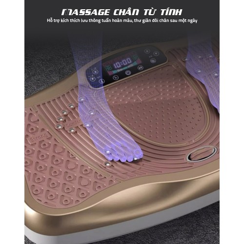 Máy rung toàn thân massage chân từ tính Queen Crown FR48
