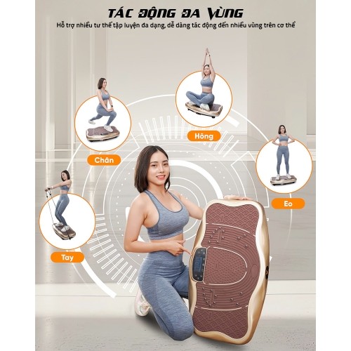 Máy rung toàn thân tác động đa vùng Queen Crown FR48
