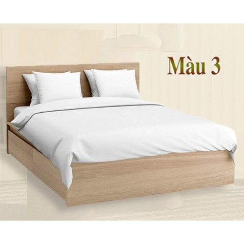 Giường ngủ có 2 ngăn kéo lớn 1m6x2m bằng gỗ công nghiệp