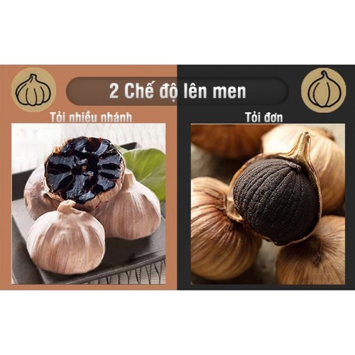Nồi làm tỏi đen Nikio NK-696