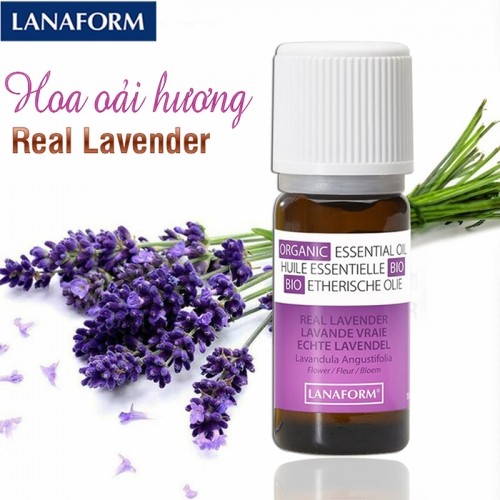 Tinh dầu hoa oải hương Real Lavender Lanaform LA240005 - 10ml