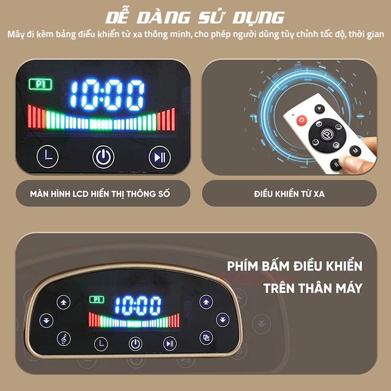 Máy rung toàn thân dễ dàng sử dụng Queen Crown FR48