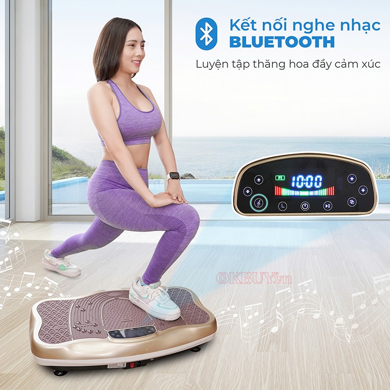 Máy rung toàn thân tích hợp loa phát nhạc Queen Crown FR48