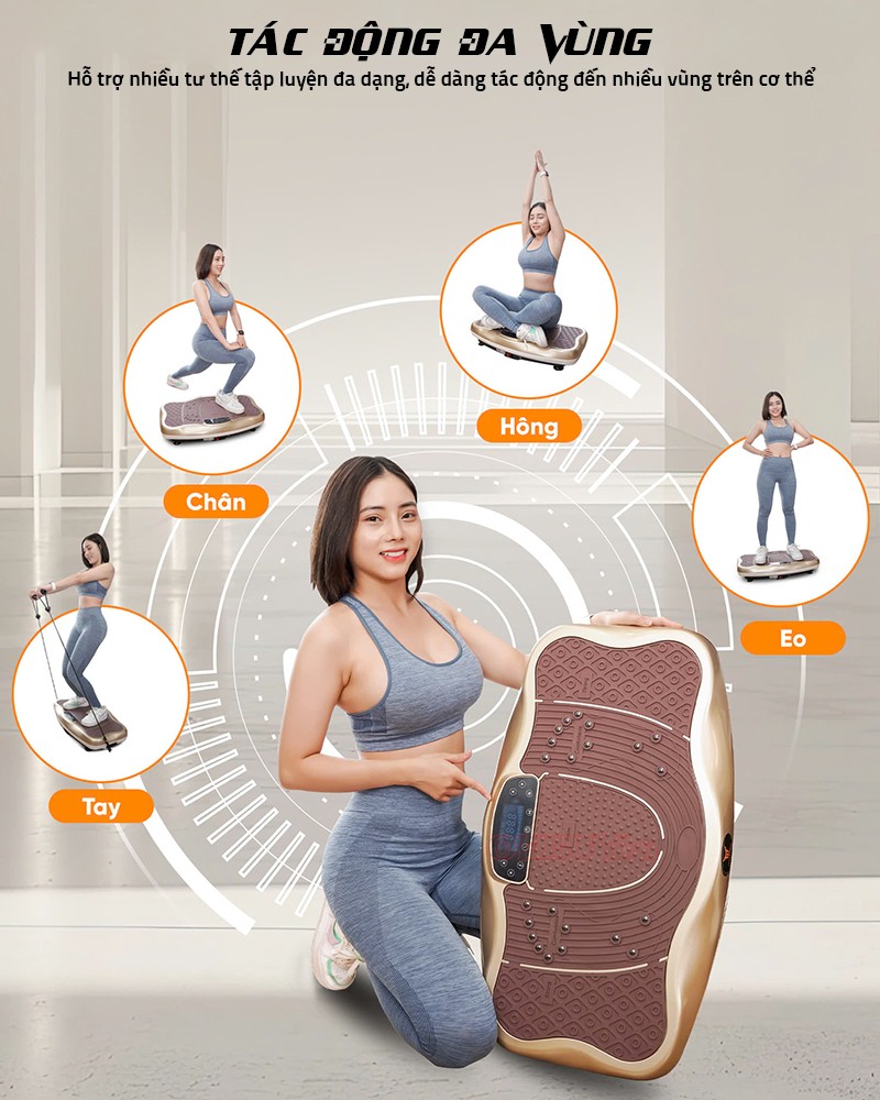 Máy rung toàn thân tác động đa vùng Queen Crown FR48