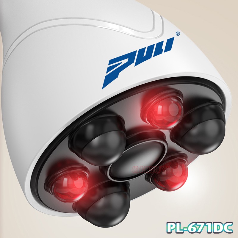 Máy massage cầm tay cao cấp Puli PL-671DC