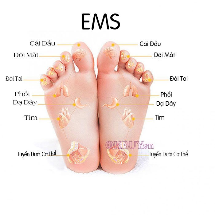 thảm massge chân bằng sóng điện EMS