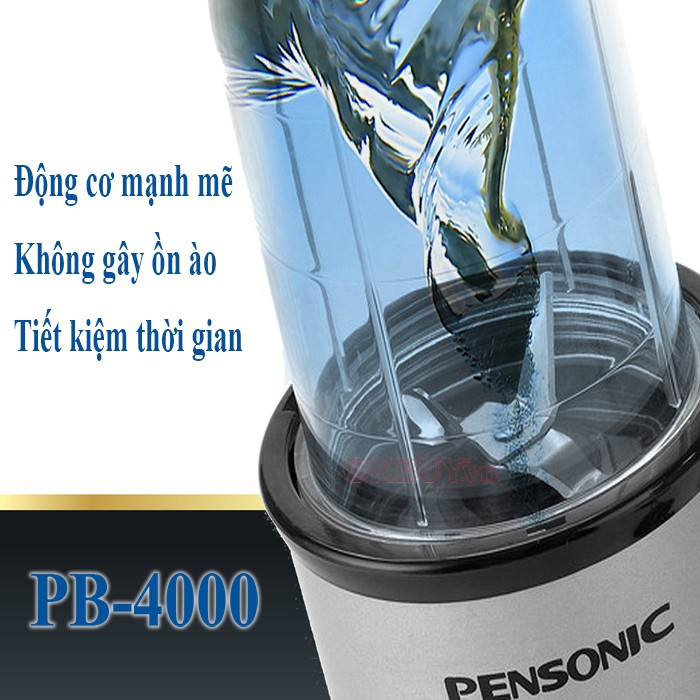  máy xay sinh tố Pensonic PB-4000