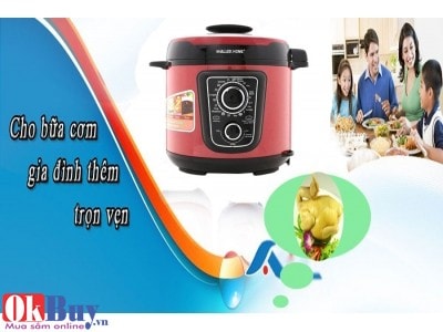 Nồi áp suất  điện đa năng hãng nào tốt tại Okbuy