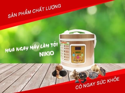 Hướng dẫn sử dụng máy làm tỏi đen gia đình