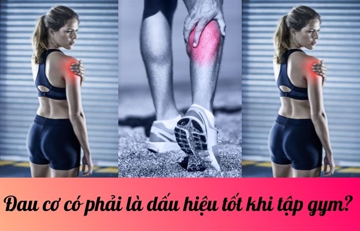 Đau cơ có phải là dấu hiệu tốt khi tập gym?