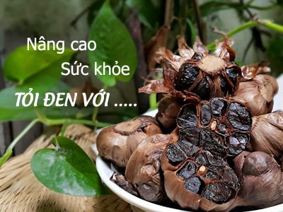 Máy làm tỏi đen Nikio có thật sự phải của Nhật Bản?