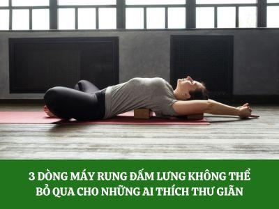 3 dòng máy rung đấm lưng không thể bỏ qua cho những ai thích thư giãn