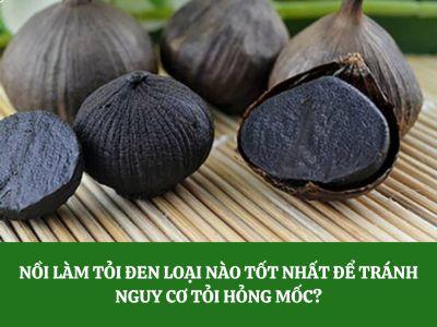 Nồi làm tỏi đen loại nào tốt nhất để tránh nguy cơ tỏi hỏng mốc?