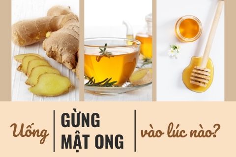 Giải đáp: uống gừng mật ong vào lúc nào là hợp lí và mang lại kết quả tốt nhất 