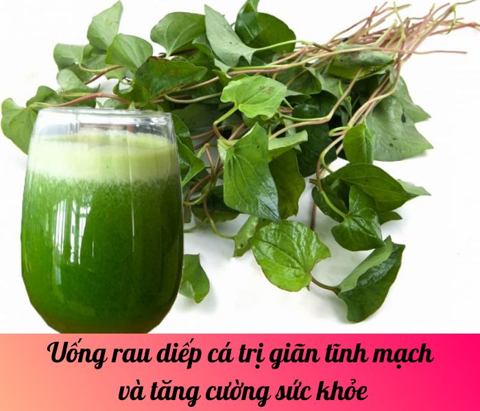 Uống rau diếp cá trị giãn tĩnh mạch và tăng cường sức khỏe