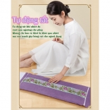 Đệm (túi) chườm nóng muối biển Nikio NK-202 - Dòng cao cấp