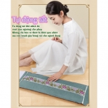Đệm (túi) chườm nóng muối biển Nikio NK-202 - Dòng cao cấp