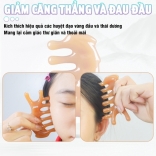 Lược massage đầu, chải cơ, ấn huyệt mũi, cổ vai gáy giảm căng thẳng mệt mỏi Nikio NK-03C2