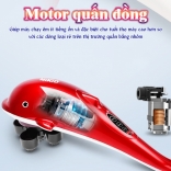Máy massage cầm tay cá heo motor quấn đồng Nikio PL-608B