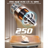 Máy rung toàn thân công nghệ rung lắc Queen Crown FR48