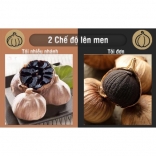 Máy làm tỏi đen Nikio NK-696 - Màu xám bạc