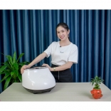 máy massage chân hồng ngoại PULI PL-8855