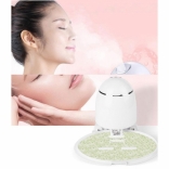 Máy làm mặt nạ trái cây
