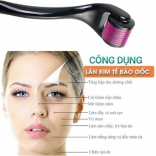 Cây lăn kim tại nhà ZGTS-050